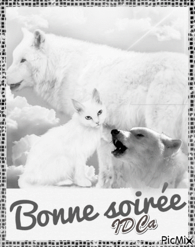 Bonsoir les loups - Bezmaksas animēts GIF