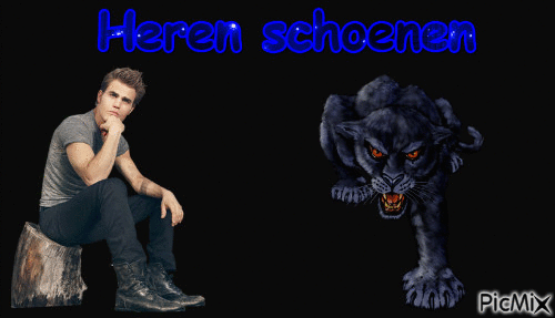 heren schoenen - 無料のアニメーション GIF