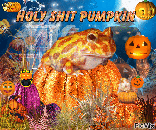 pumpkin froggy - GIF animado gratis