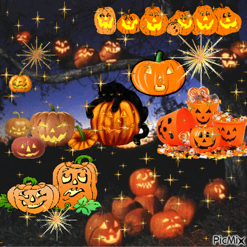 look at all those pumpkins! - GIF animado grátis