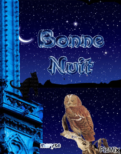 nuit - Бесплатный анимированный гифка
