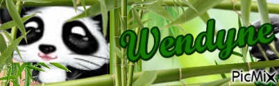 Panda alias Wendine bann - PNG gratuit