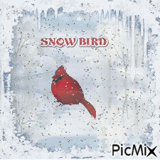 SNOW BIRD - Free animated GIF