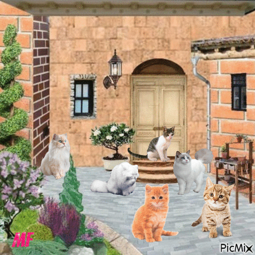les petits chats - Zdarma animovaný GIF