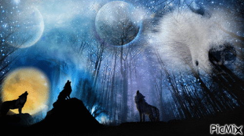 Loups/ Wolves - Zdarma animovaný GIF