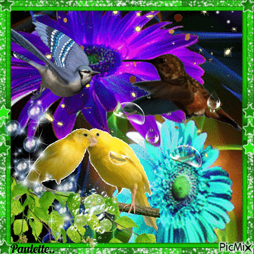 les oiseaux - Darmowy animowany GIF