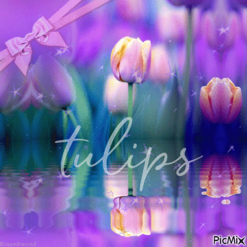 Tulips - GIF animado gratis