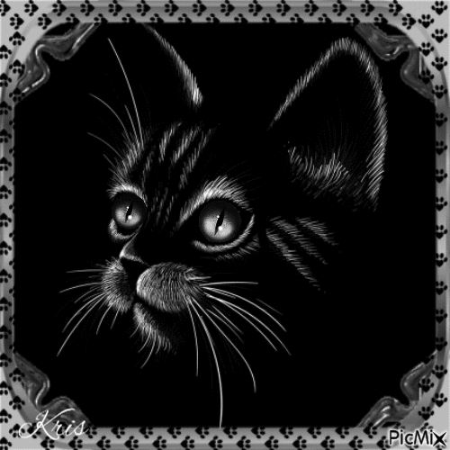 Portrait d'un chat noir🐈 🐱 - GIF animado gratis