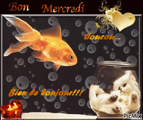 bien le bonjour - Darmowy animowany GIF