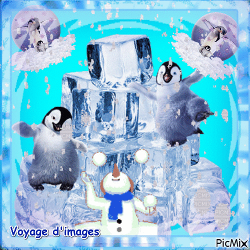 la danse des pingouins - Ingyenes animált GIF