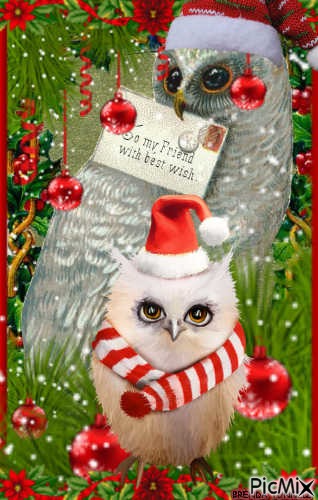 Christmas owl - ilmainen png