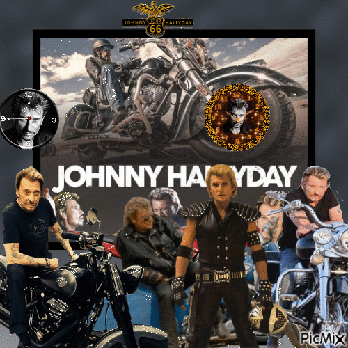 spécial JOHNNY HALLYDAY - Δωρεάν κινούμενο GIF