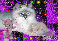 chats - GIF animé gratuit