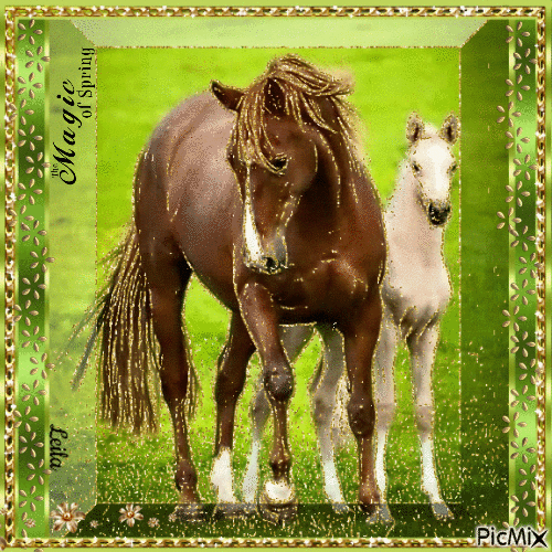 The Magic of Spring. Horses - Besplatni animirani GIF
