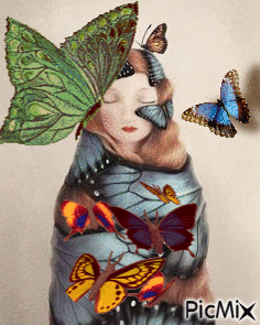 Mujer mariposa - GIF animado grátis