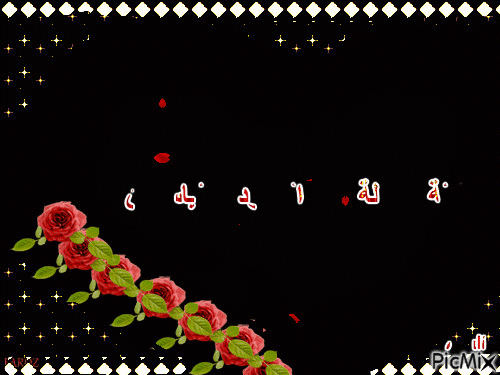 ليلة جميلة من الورود والياسمين،***A beautiful night of roses and jasmine, - Gratis animeret GIF