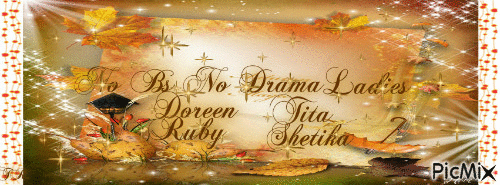 No BS No drama group banner - Darmowy animowany GIF