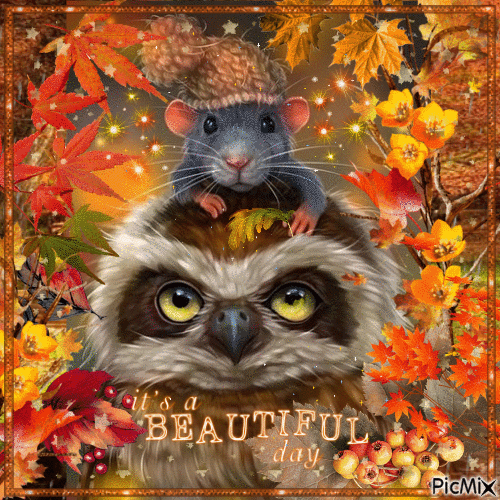 beautiful autumn day with owl and mouse - GIF animasi gratis