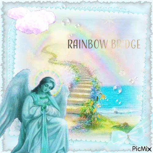 Rainbow Bridge - Бесплатный анимированный гифка