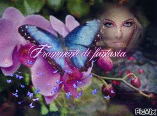 Frammenti di fantasia - Δωρεάν κινούμενο GIF