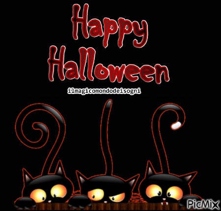 happy halloween cats - png gratuito