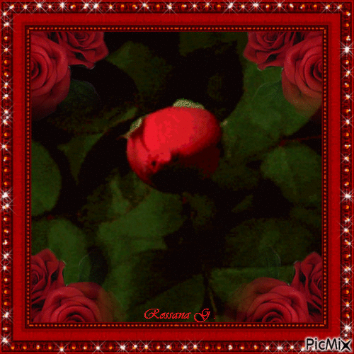 Roses rouges pour vous mes chéris amis/es - Gratis animerad GIF