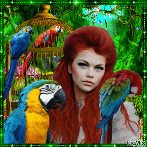 Girl with 4 Parrots - Free animated GIF