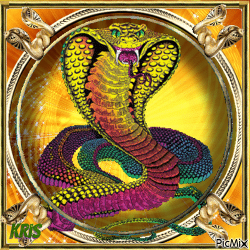 Cobra dans un cercle doré. - GIF animasi gratis