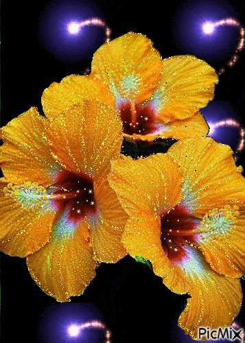 flowers - Δωρεάν κινούμενο GIF