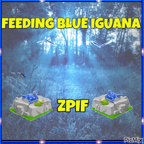 Feeding Blue Iguana - Ingyenes animált GIF