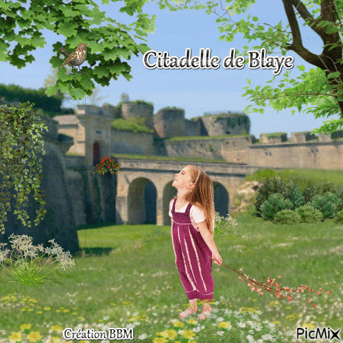 Citadelle de Blaye par BBM - Бесплатный анимированный гифка