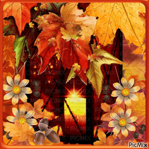 Lanterne d'automne....concours - GIF animé gratuit