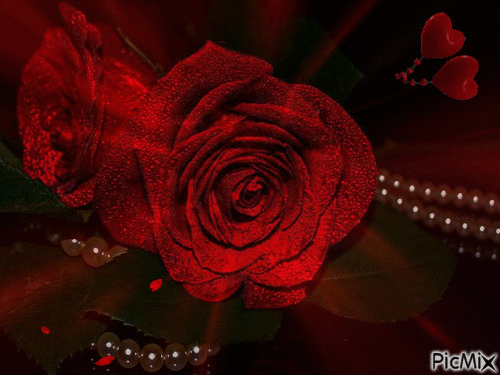 rosa - Ücretsiz animasyonlu GIF