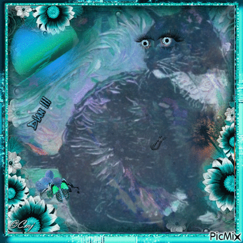The Aqua Cat - Δωρεάν κινούμενο GIF