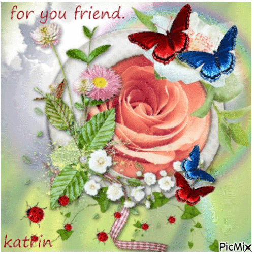 from my dear friend katrin - GIF animé gratuit