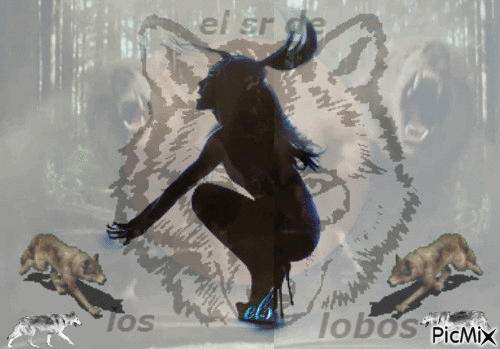el sr de los lobos - Δωρεάν κινούμενο GIF
