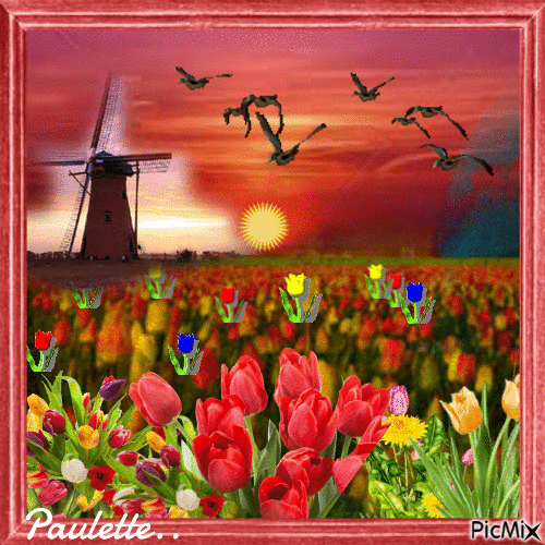 champ de tulipes - GIF animado gratis