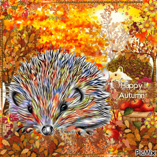 Hedgehogs in Autumn - Free animated GIF