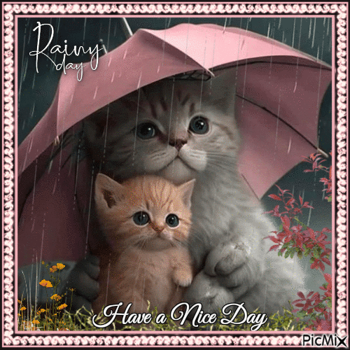 Katzen im Regen - Free animated GIF