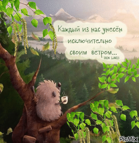 ЕЖИК - Zdarma animovaný GIF