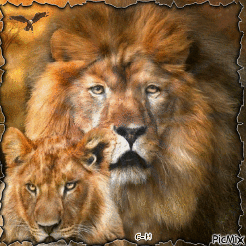 Lion - 免费动画 GIF