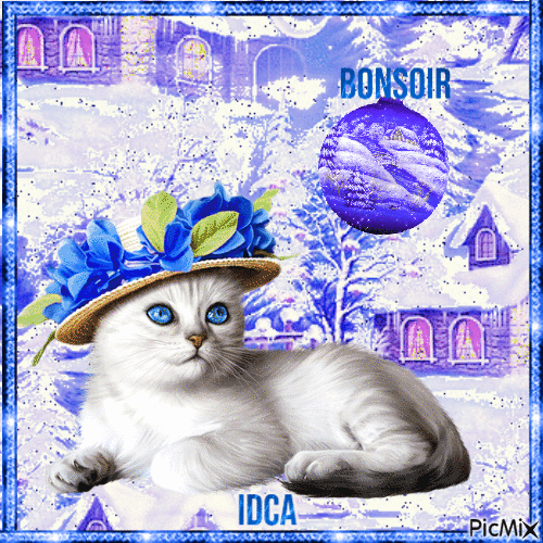 Bonsoir  les chatons - Безплатен анимиран GIF