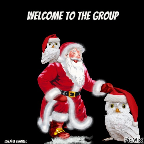 Christmas welcome  owl - PNG gratuit