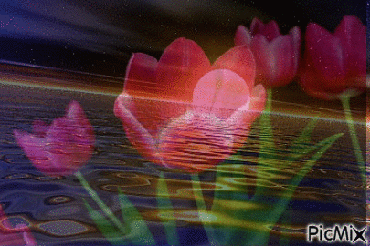 flores - Nemokamas animacinis gif