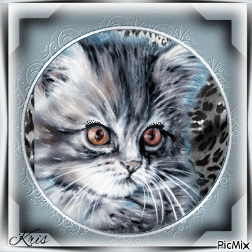 Portrait de chat - Gratis geanimeerde GIF