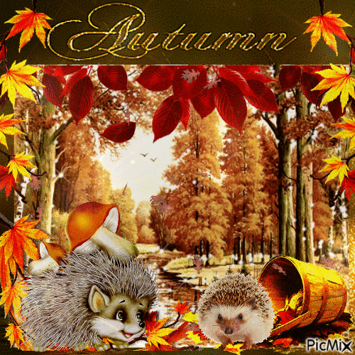 Igel im Herbst mit Blättern - Gratis animerad GIF