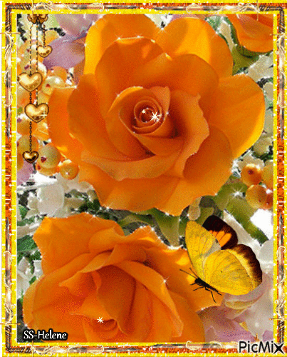 Orange roses. - GIF animado gratis