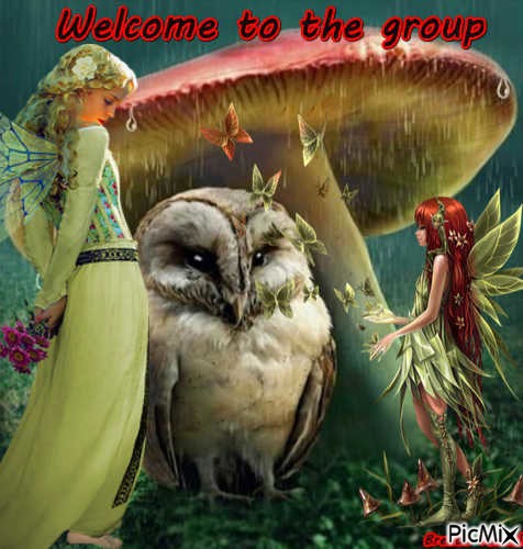 WELCOME OWL 4 - PNG gratuit