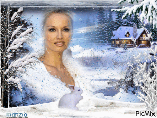 donna sulla neve - Безплатен анимиран GIF