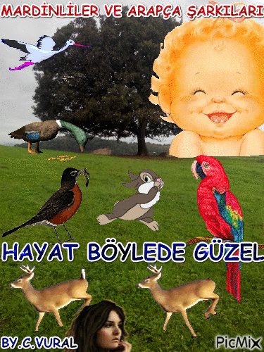 MARDİNLİ - Безплатен анимиран GIF